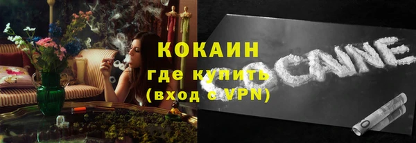 дмт Пересвет