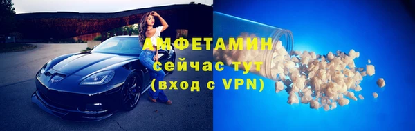 дмт Пересвет