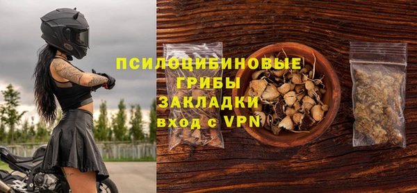 дмт Пересвет