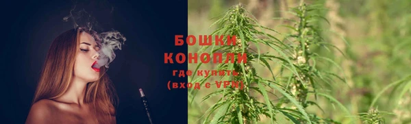 трава Пестово