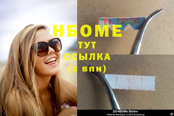 дмт Пересвет