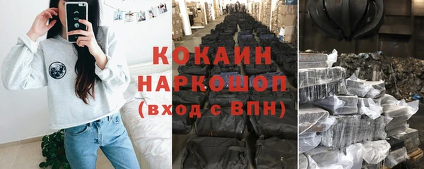 дмт Пересвет
