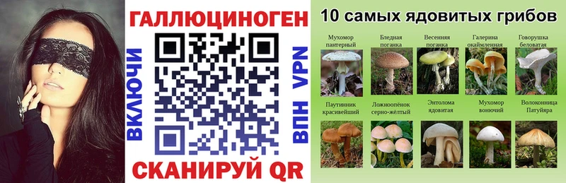 Псилоцибиновые грибы мицелий Купино
